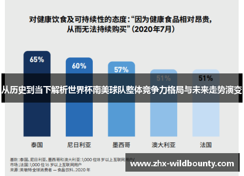 从历史到当下解析世界杯南美球队整体竞争力格局与未来走势演变