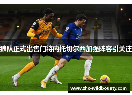 狼队正式出售门将内托切尔西加强阵容引关注